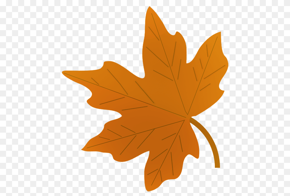 Fall Leaves Clip Art, Leaf, Maple Leaf, Plant, Tree Free Png