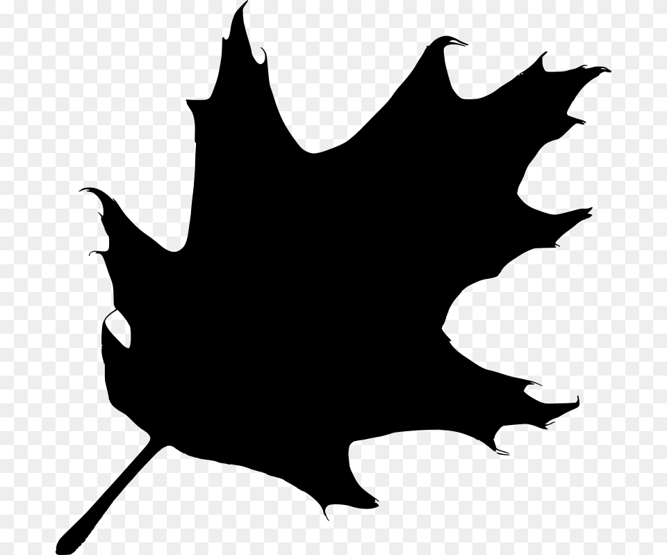 Fall Leaves Clip Art Black And White, Gray Free Png