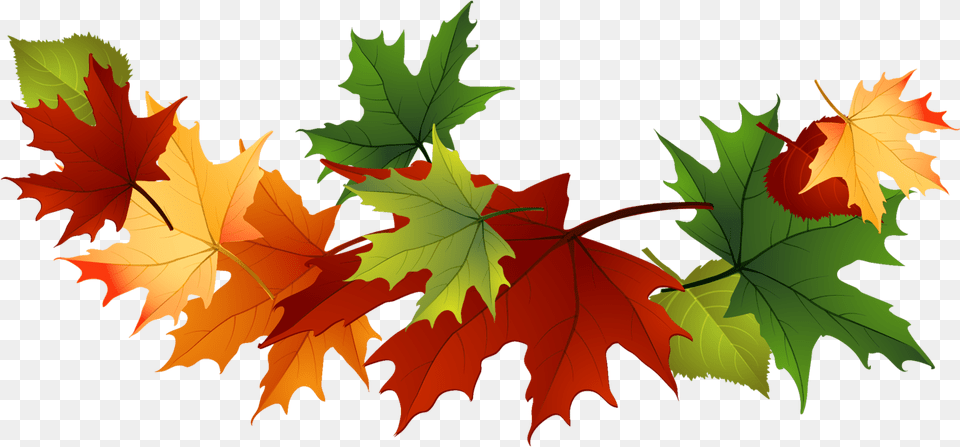 Fall Leaves Clip Art Fall Leaves, Leaf, Plant, Tree, Maple Png