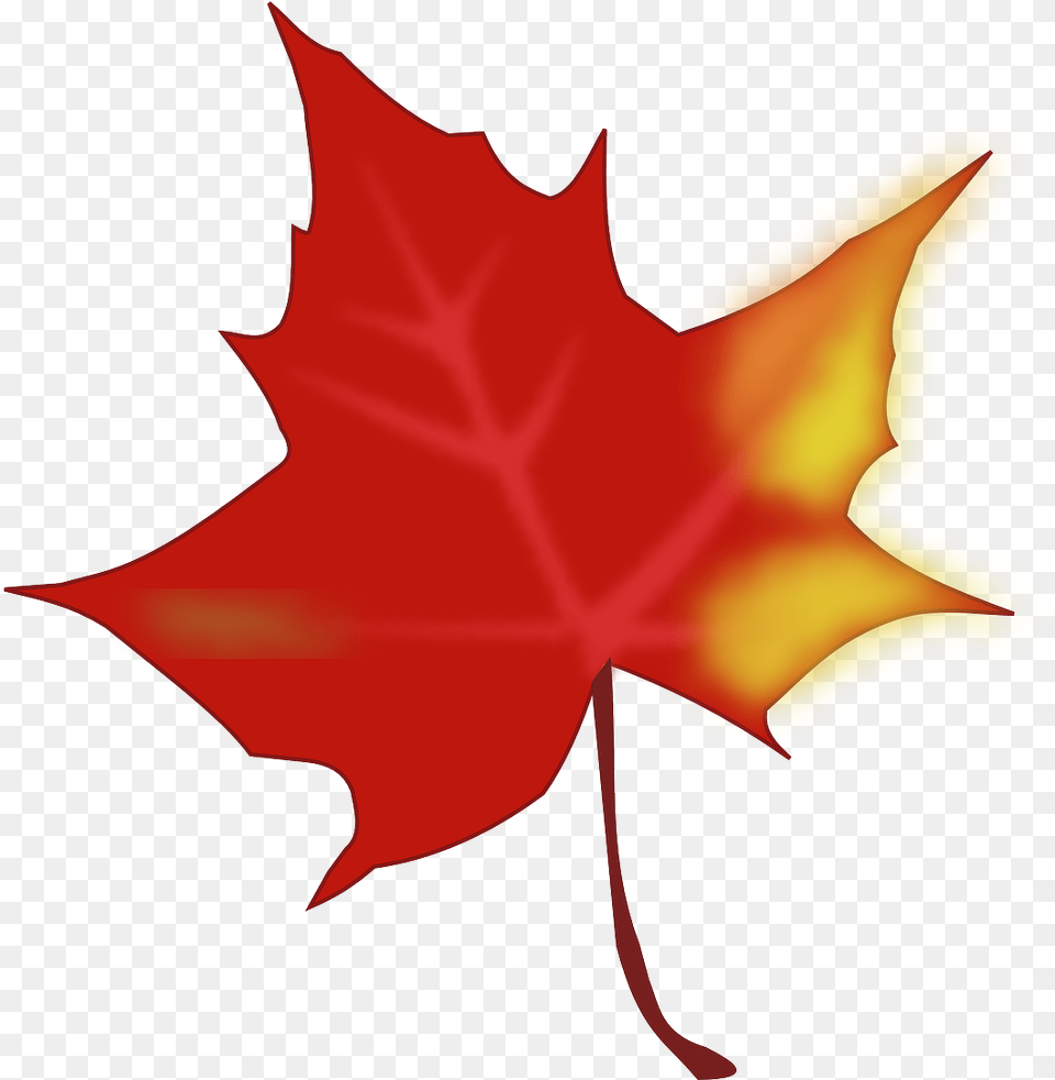 Fall Leaves Clip Art Hd, Leaf, Maple Leaf, Plant, Tree Free Png Download