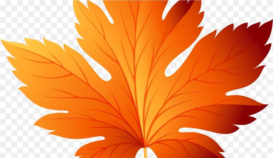 Fall Leaves Clip Art Transparent Fall Leaf Clipart Color, Plant, Maple Leaf, Tree Free Png Download