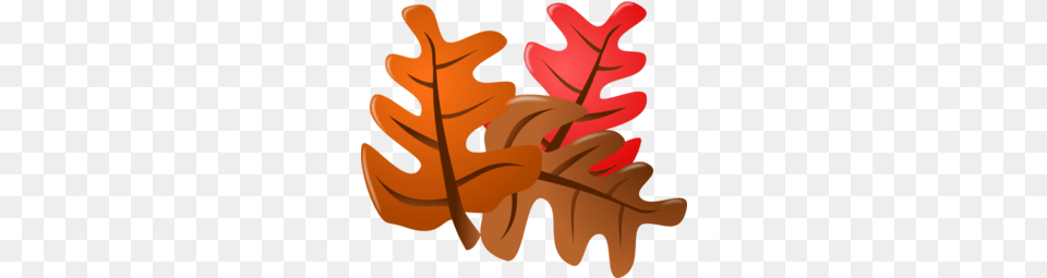 Fall Leaves Clipart, Plant, Tree, Leaf, Produce Free Png Download