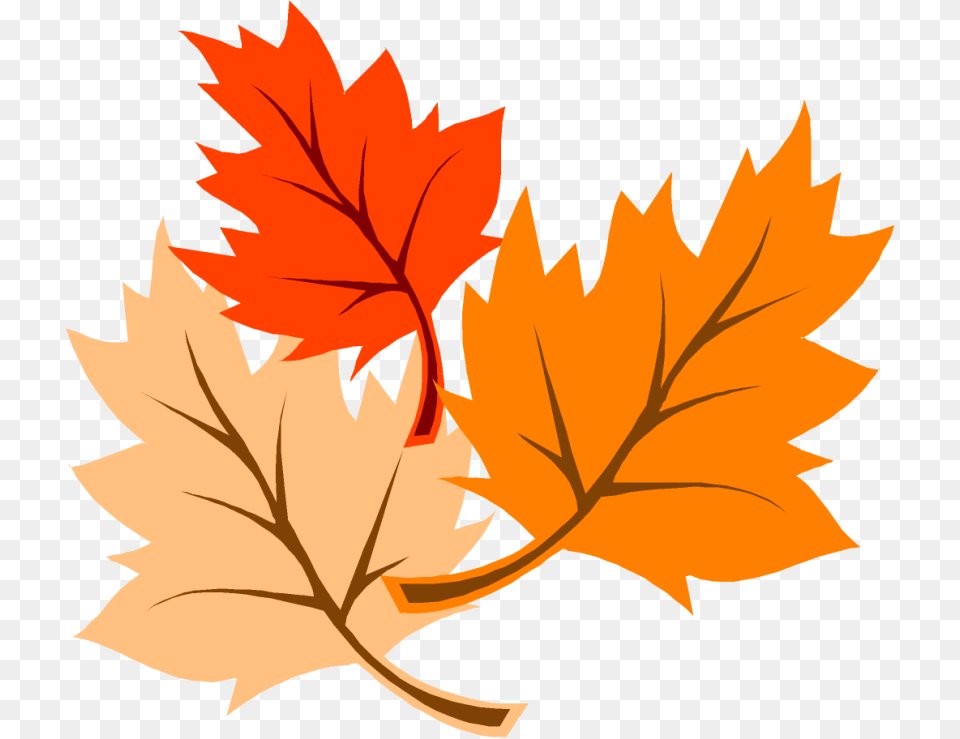Fall Leaves Clipart, Leaf, Plant, Tree, Maple Leaf Png Image