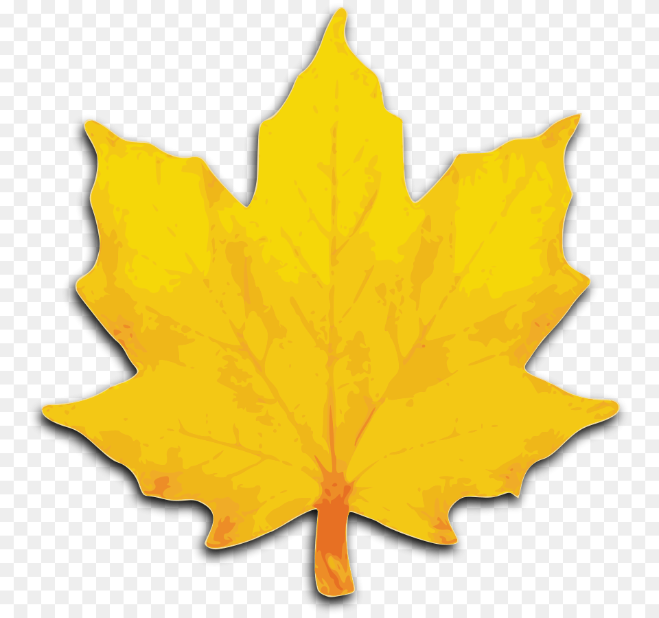 Fall Leaves Clipart Clipart Images, Leaf, Maple Leaf, Plant, Tree Free Transparent Png