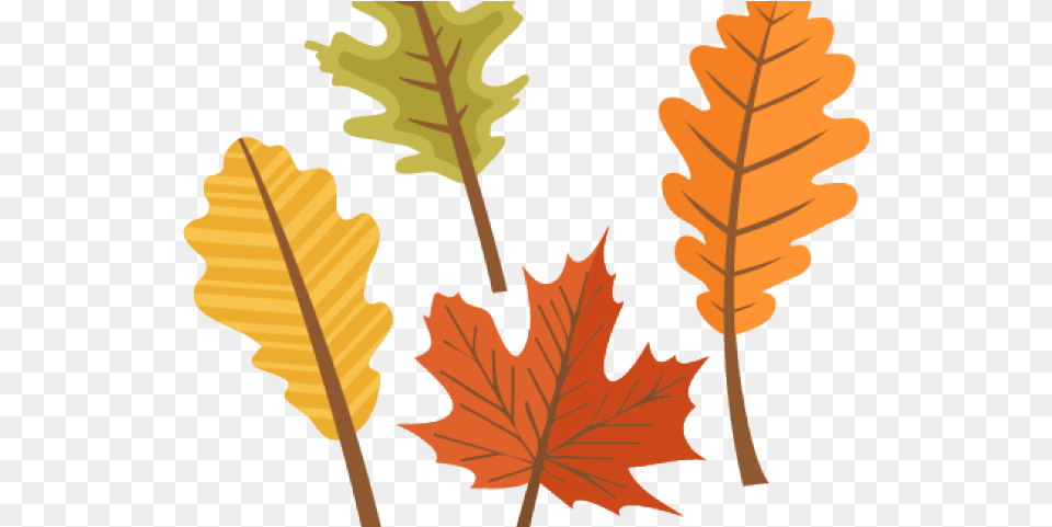 Fall Leaves Clipart Cute Autumn Leaves Cliparts Fall Clipart Leaves, Leaf, Plant, Tree, Person Png