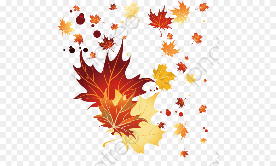 Fall Leaves Clipart Vector Autumn Leaves Falling Designs, Leaf, Plant, Tree, Person Png