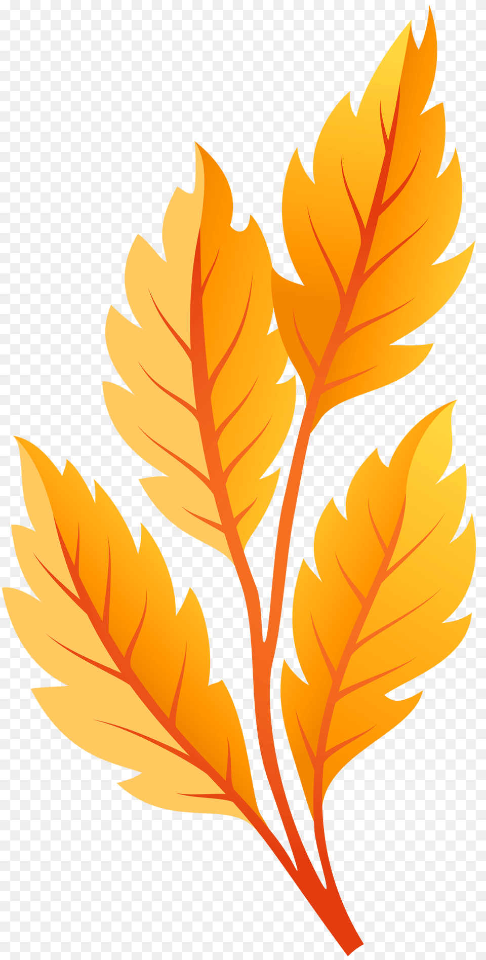 Fall Leaves Clipart Yellow Orange Leaves Orange Leaves Illustration, Leaf, Plant, Tree, Maple Leaf Png
