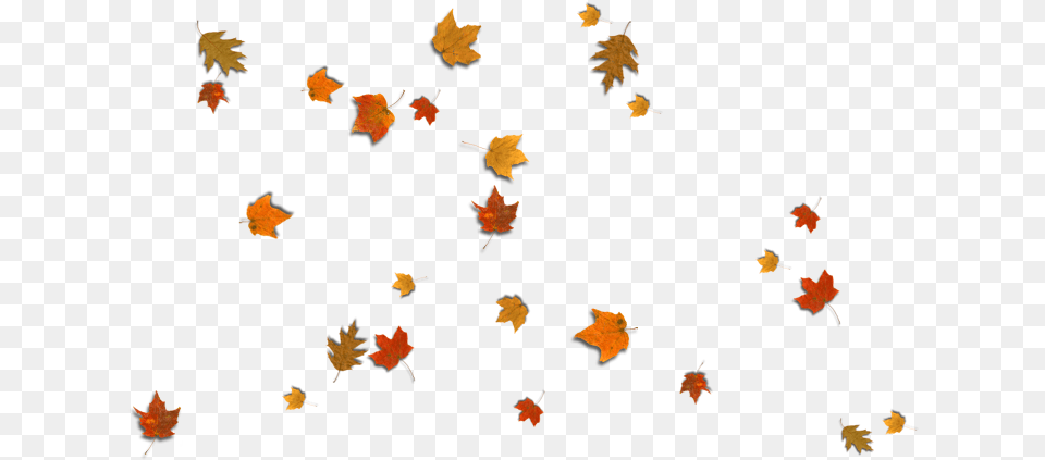 Fall Leaves Corner Border, Leaf, Plant, Tree, Maple Free Png Download