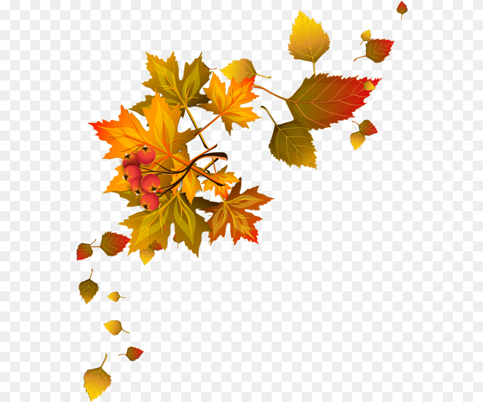 Fall Leaves Corner Border, Leaf, Plant, Tree, Maple Png Image