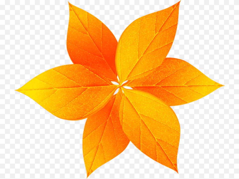 Fall Leaves Decoration Images Transparent, Leaf, Plant, Tree Png Image