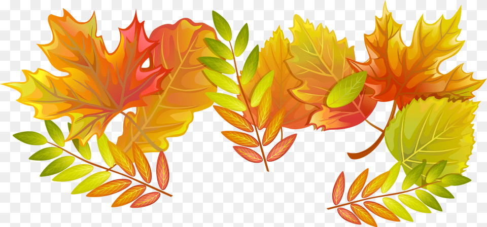 Fall Leaves Decorative Clipart Image, Leaf, Plant, Tree Free Png Download