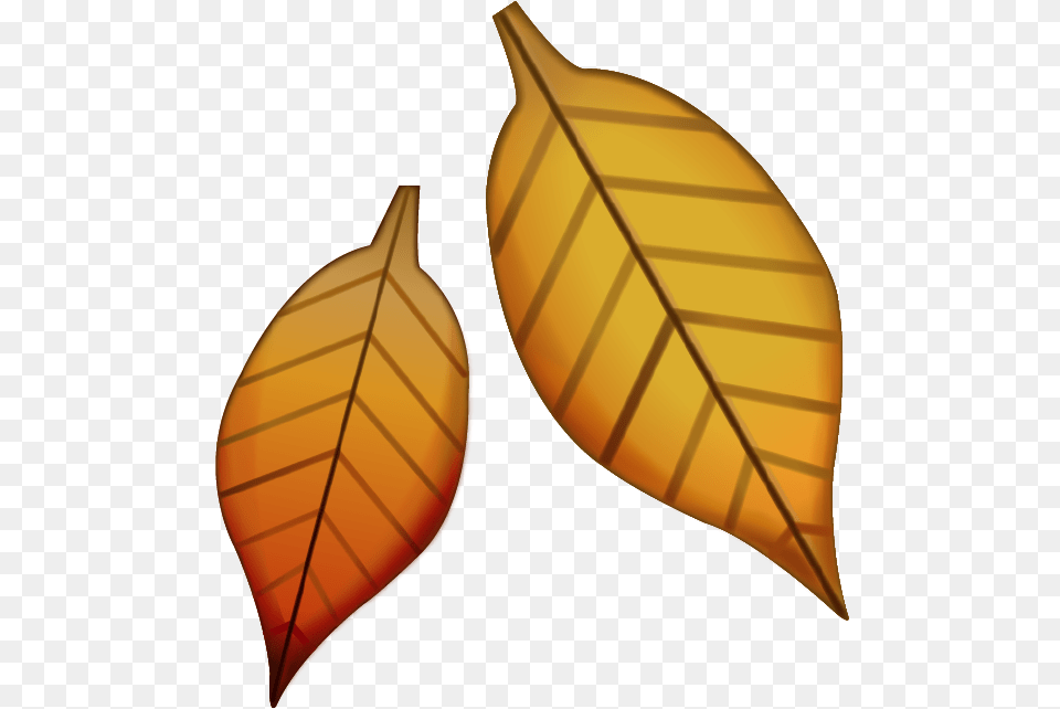 Fall Leaves Emoji, Leaf, Plant Png