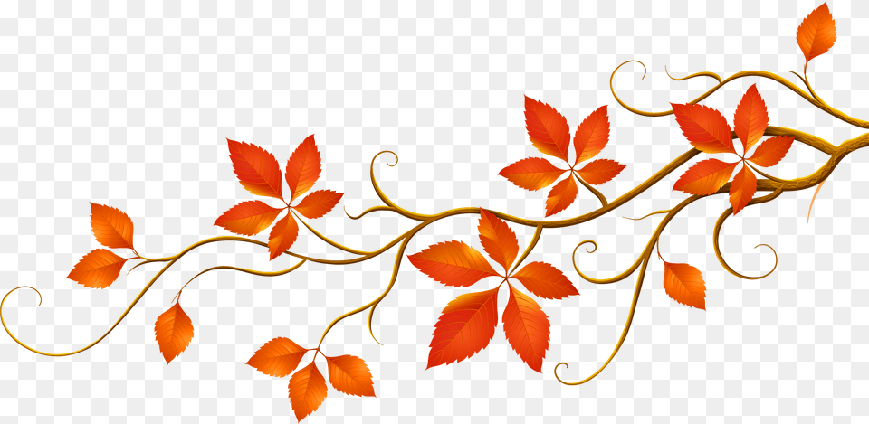 Fall Leaves Fall Autumn Floral Design, Art, Floral Design, Graphics, Leaf Png