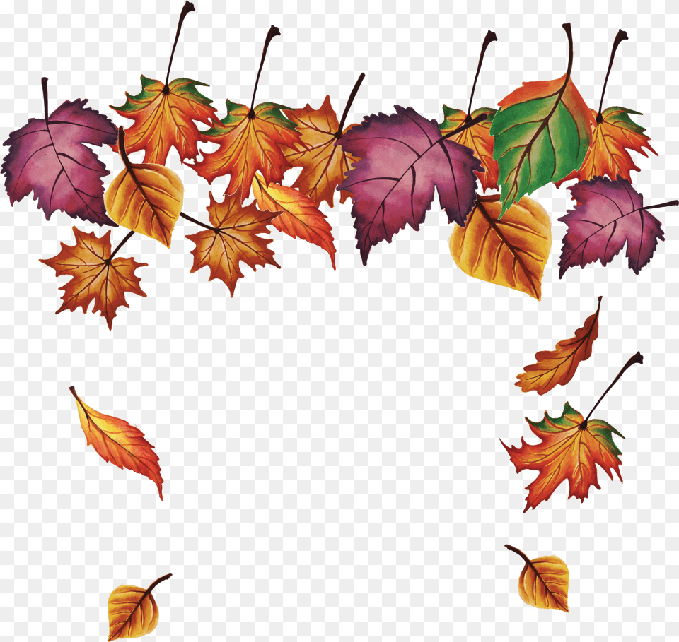 Fall Leaves Falling Autumn Transparent Cartoon Jingfm Transparent Fall Leaves Fall Clipart, Leaf, Plant, Tree, Maple Free Png Download
