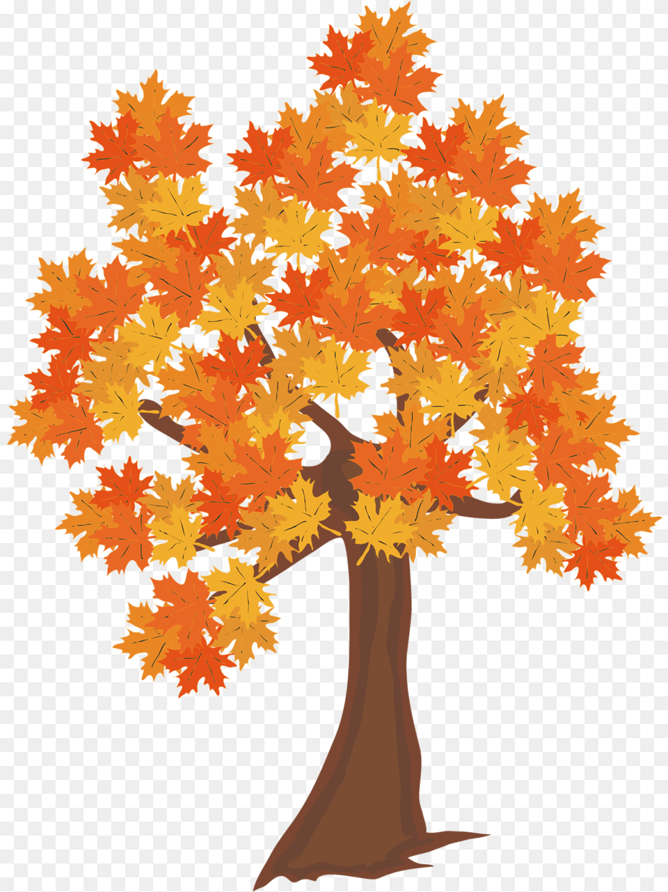 Fall Leaves Falling From A Tree Arbol De, Leaf, Maple, Plant Free Transparent Png