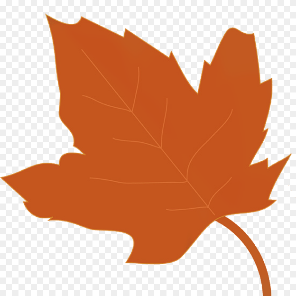 Fall Leaves Graphic Clip Art Beautiful Autumn Clipart Graphics, Leaf, Maple Leaf, Plant, Tree Free Transparent Png