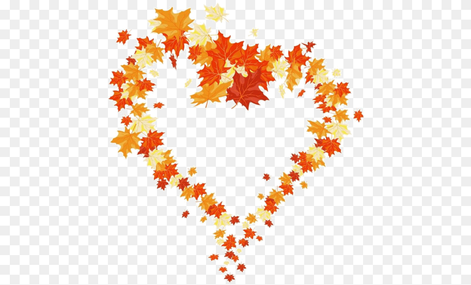 Fall Leaves Heart Clip Art, Leaf, Plant, Tree, Maple Png