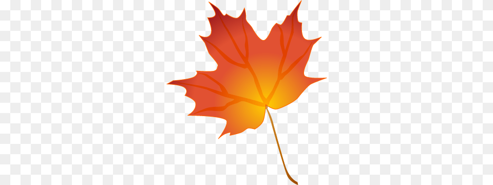 Fall Leaves Icons, Leaf, Maple Leaf, Plant, Tree Png Image