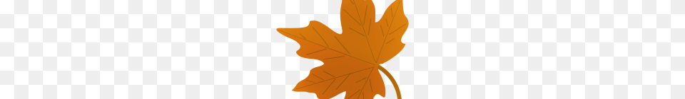 Fall Leaves Images Clip Art Clipart Fall Leaves, Leaf, Maple Leaf, Plant, Tree Free Png Download