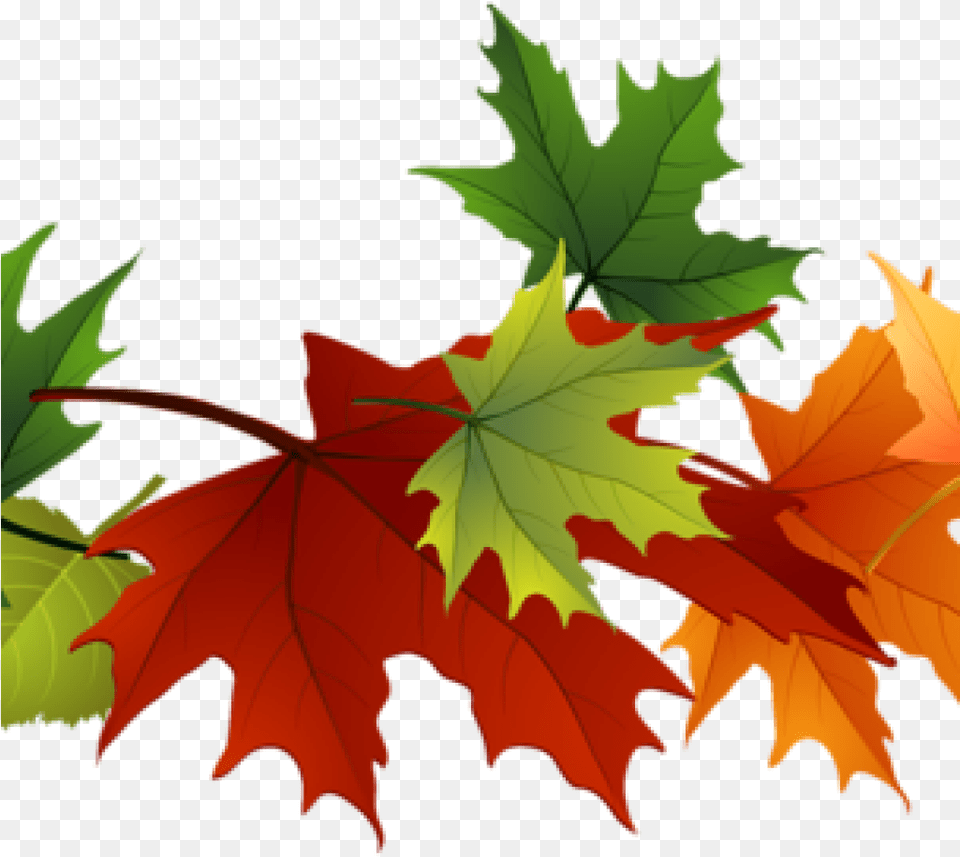 Fall Leaves Images Clip Art Leaf Clipart At Getdrawings Background Fall Leaves, Plant, Tree, Maple, Maple Leaf Free Png Download