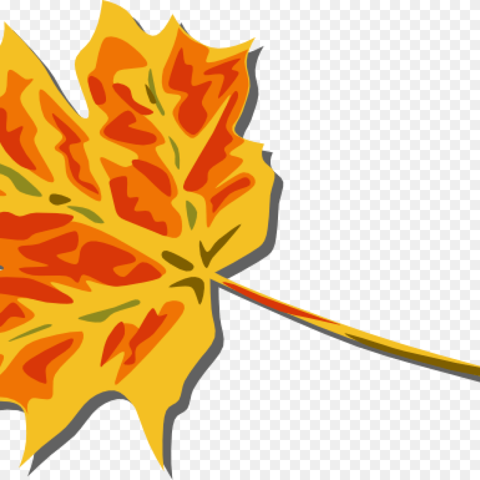 Fall Leaves Images Clip Art Vector 4vector Space Fall Leaves Clip Art, Leaf, Maple Leaf, Plant, Tree Free Png