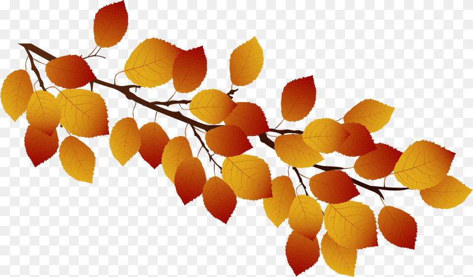 Fall Leaves On Branch Clip Art Png Image