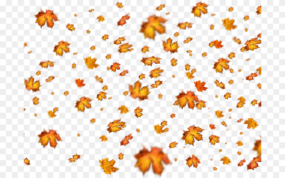 Fall Leaves Overlay For Photoshop Adobe Photoshop, Leaf, Plant, Tree, Maple Free Png Download