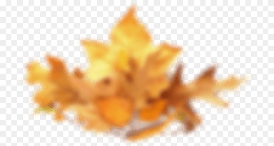 Fall Leaves Pile, Leaf, Plant, Fire, Flame Free Png