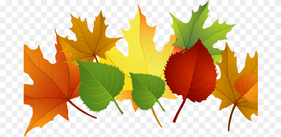 Fall Leaves Pile Clip Art, Leaf, Plant, Tree, Maple Leaf Free Transparent Png