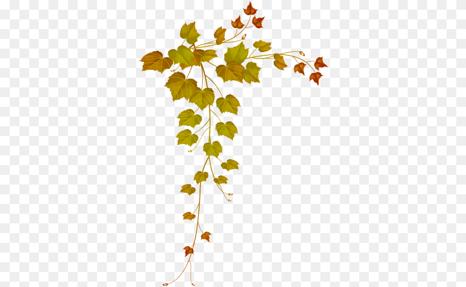 Fall Leaves Round Border Frame Clip Art Leaf, Plant, Tree, Maple Png Image