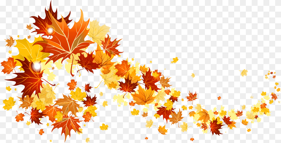 Fall Leaves Transparent Background, Leaf, Plant, Tree, Art Free Png