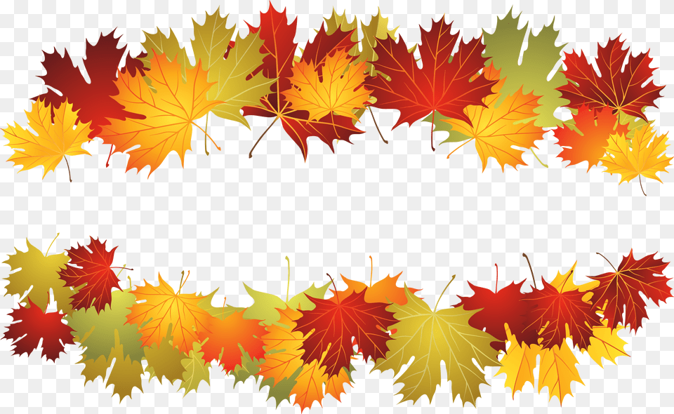 Fall Leaves Background Leafs, Leaf, Plant, Tree, Maple Free Transparent Png