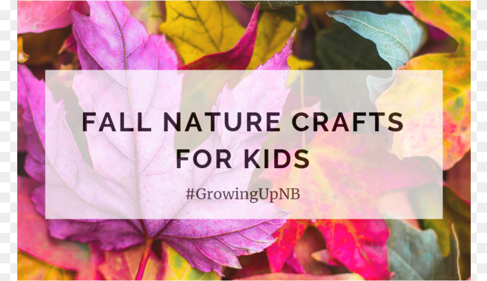Fall Nature Crafts For Kids Notebook Journal Dot Gridgraphlinedblank No Lined, Leaf, Plant, Tree Free Png