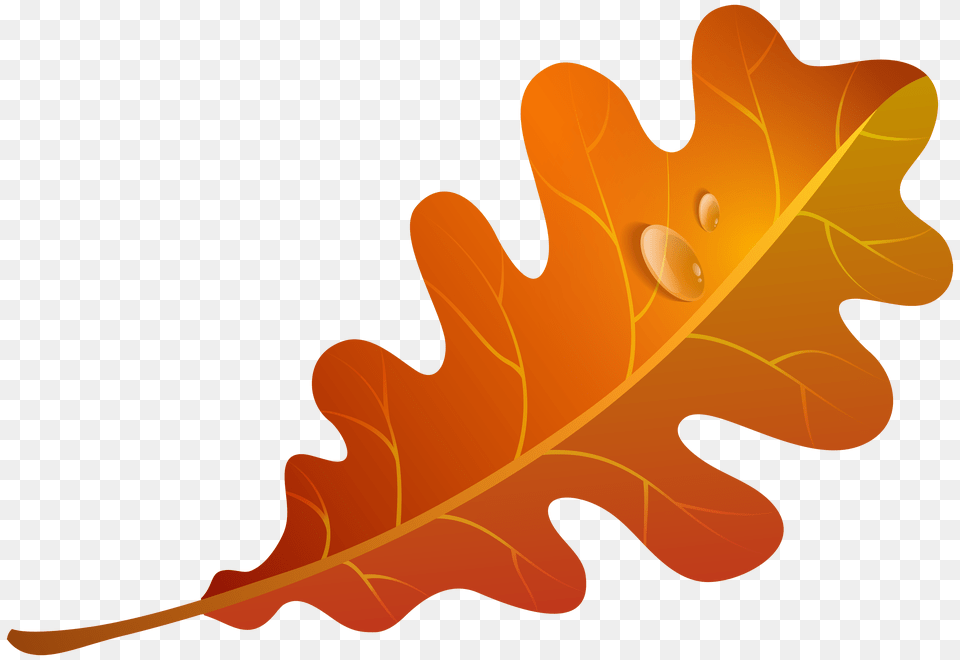 Fall Orange Leaf Clipart, Plant, Droplet, Dynamite, Weapon Free Transparent Png