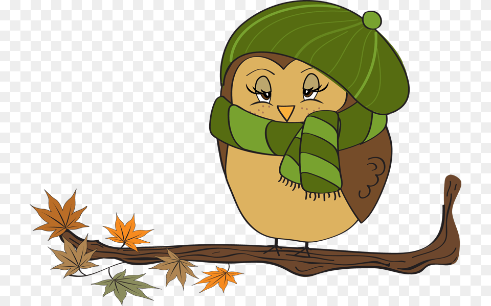 Fall Owl Clipart Fall Leaves Owl Fall Owl And Owl, Leaf, Plant, Baby, Face Free Transparent Png