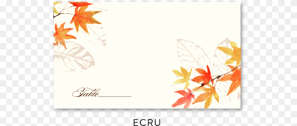 Fall Place Cards Illustration, Leaf, Plant, Tree, Maple Png Image