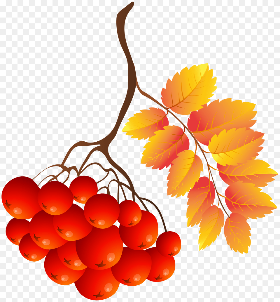 Fall Plant Clip Art Png