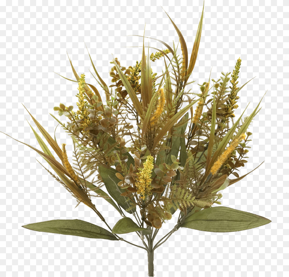 Fall Plastic Mix Grass Bush X Protea, Plant, Pollen, Flower, Amaranthaceae Free Png Download