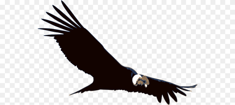 Fall Prey To Laptop Thieves Brand Software Bird Of Prey Grand Canyon, Animal, Flying, Vulture, Eagle Free Transparent Png