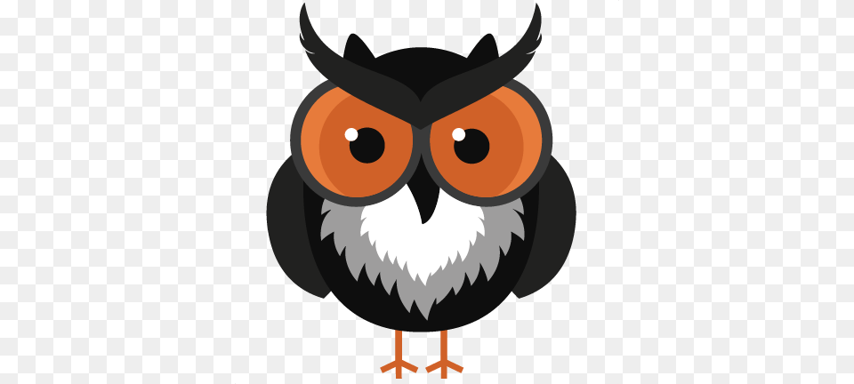 Fall Projects Halloween Owl, Animal, Beak, Bird Free Png