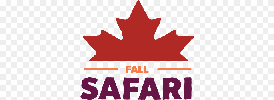 Fall Safari Roadside, Leaf, Plant, Tree, Person Free Png