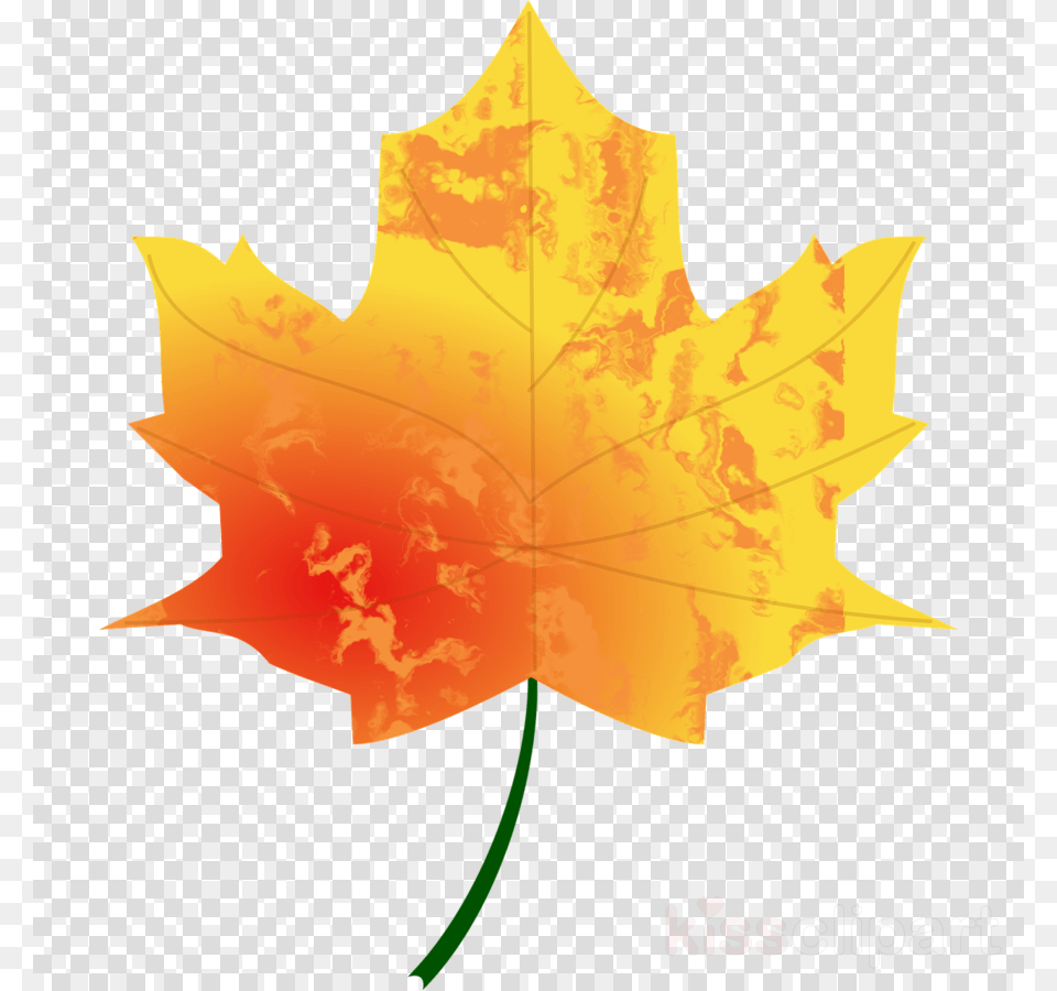 Fall Transparent Background Leaves Clipart Foto Listev Derevev Osenyu, Leaf, Maple Leaf, Plant, Tree Png