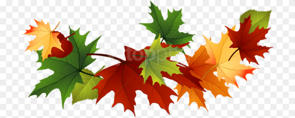 Fall Transparent Leaves Clipart Transparent Fall Leaves Clip Art, Leaf, Plant, Tree, Maple Leaf Free Png