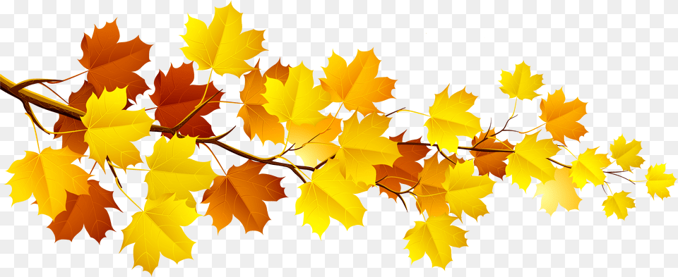Fall Tree Branch Clipart, Leaf, Plant, Maple, Maple Leaf Png