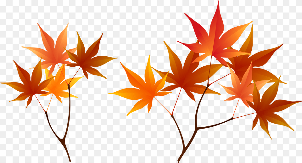 Fall Tree Branch Clipart Autumn Leaves Branch, Leaf, Plant, Maple, Maple Leaf Free Png Download