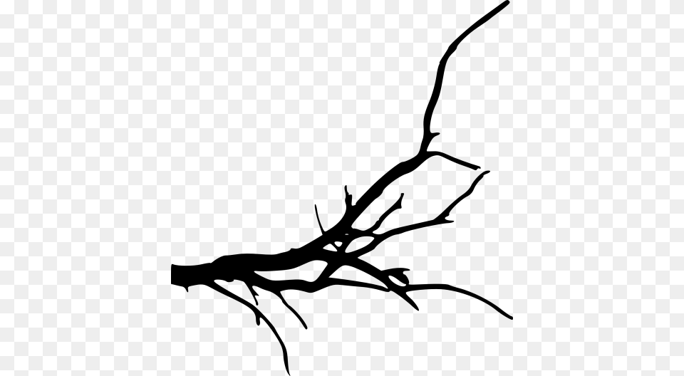 Fall Tree Branch Background Tree Branches, Plant, Bow, Weapon, Root Free Transparent Png