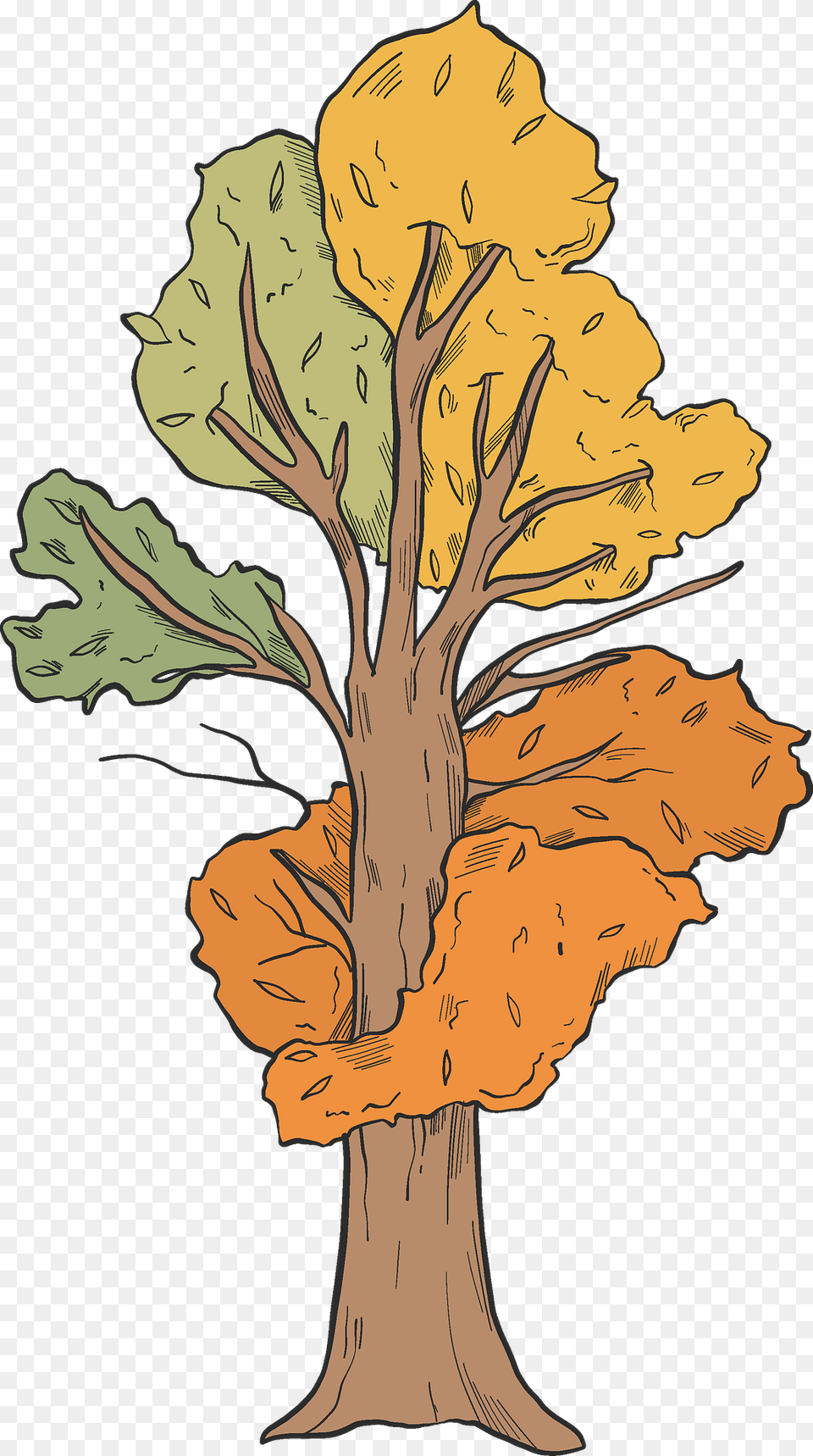 Fall Tree Clipart, Plant, Tree Trunk, Art, Person Free Transparent Png