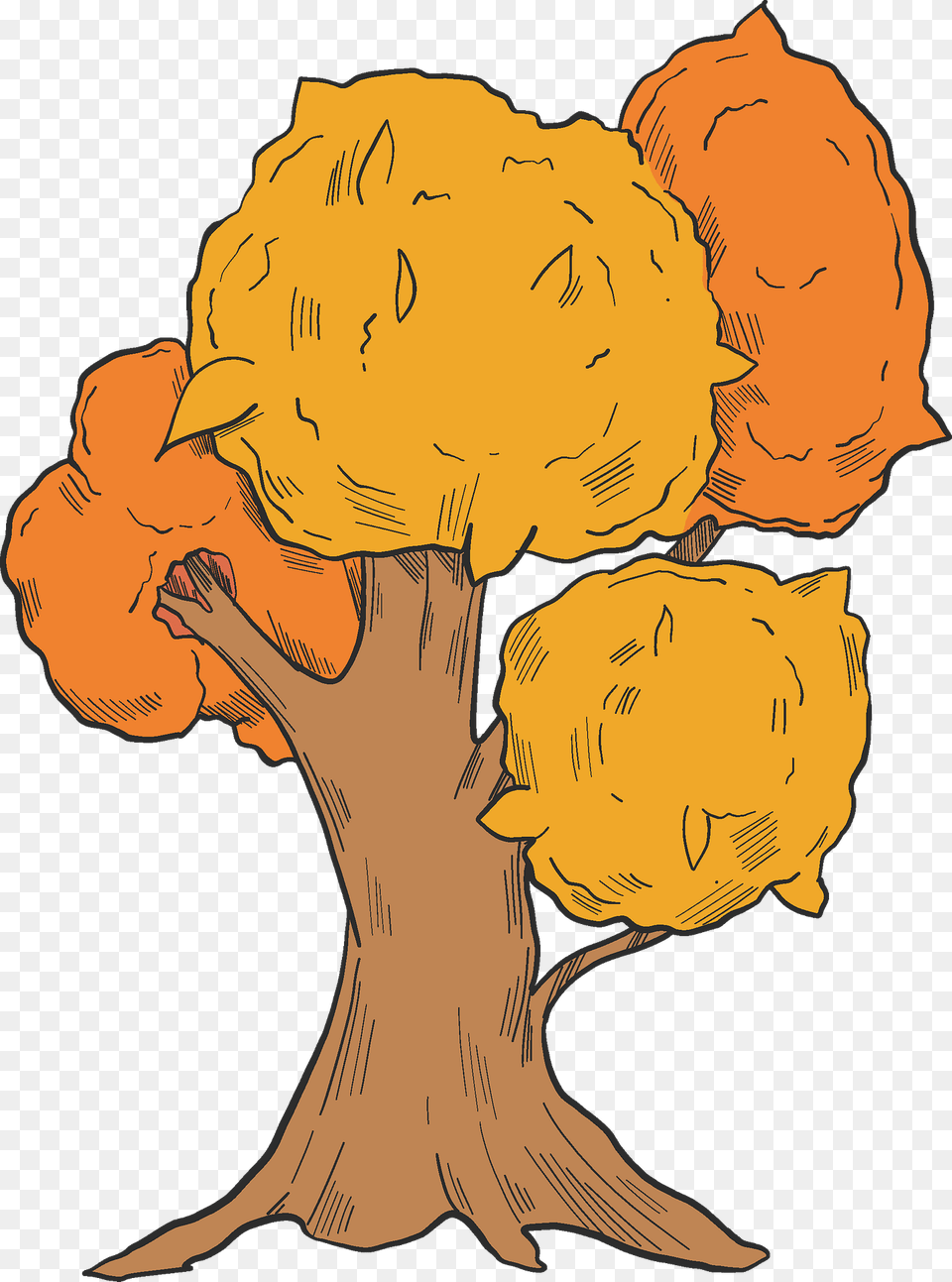 Fall Tree Clipart, Plant, Person, Face, Head Free Png Download