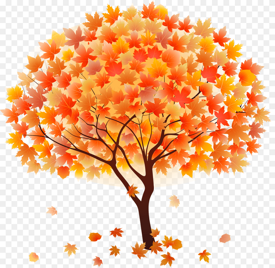 Fall Tree Clipart, Leaf, Maple, Plant, Art Png Image