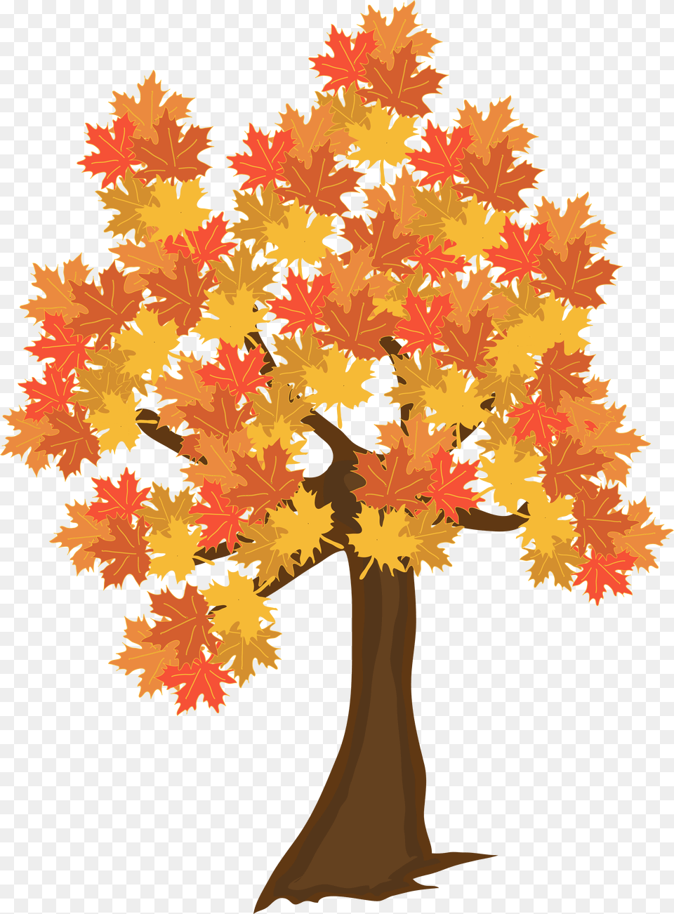 Fall Tree Clipart, Leaf, Maple, Plant Png